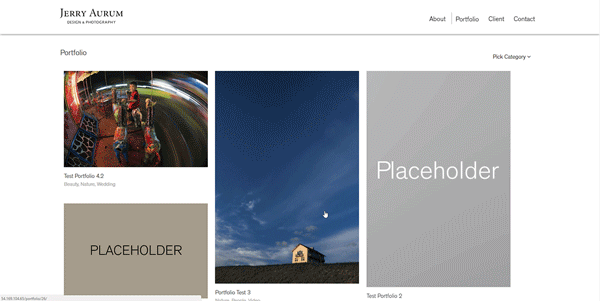 Portfolio Page Features 1
