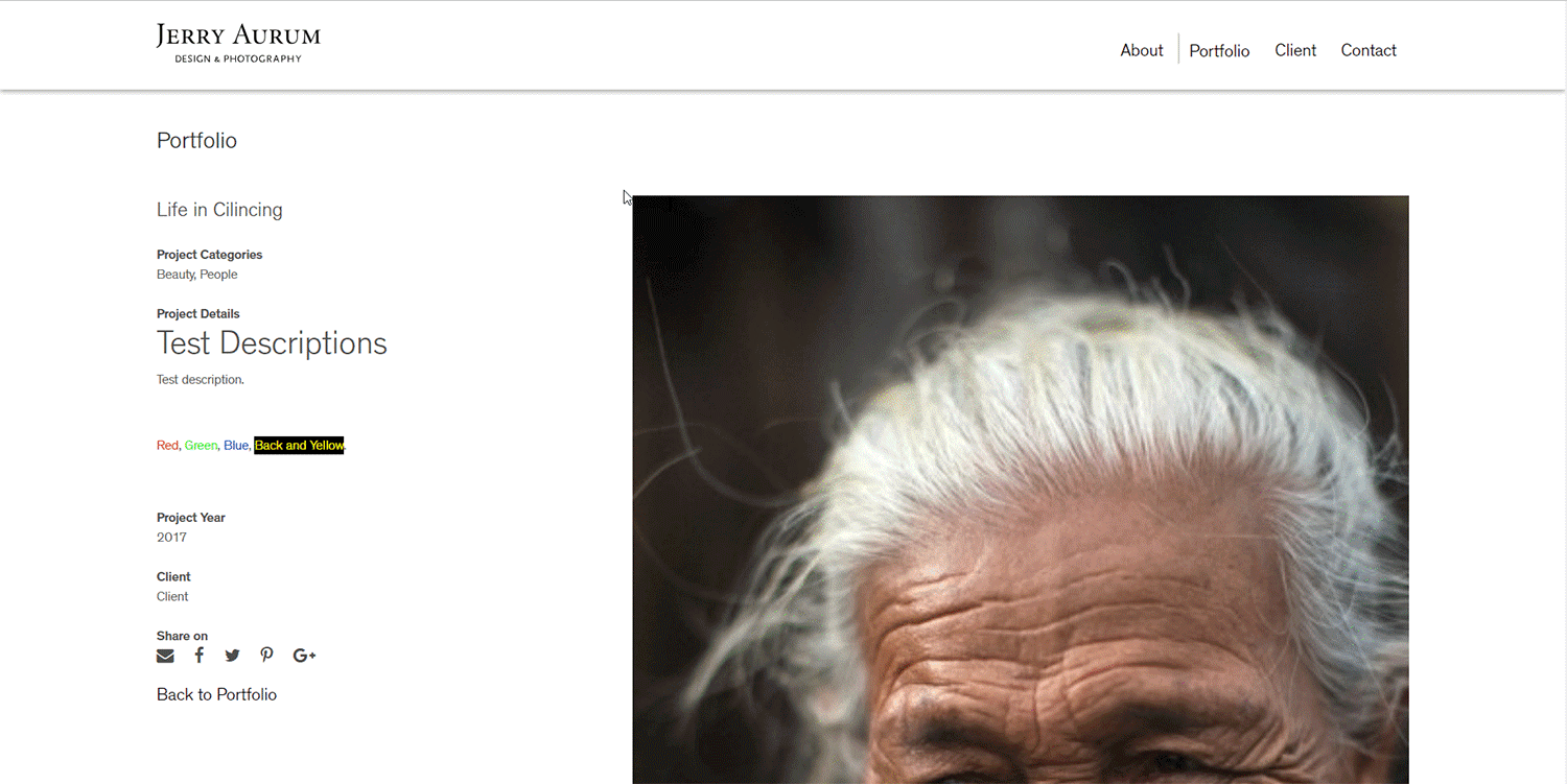 Portfolio Page Features 2